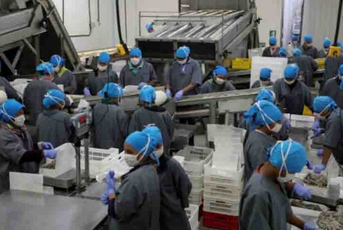 Cavidea Operan A De Su Capacidad Instalada Industrias De Alimentos