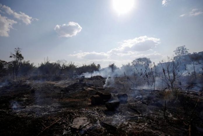 Amazonas Ecocidio Incendios Forestales