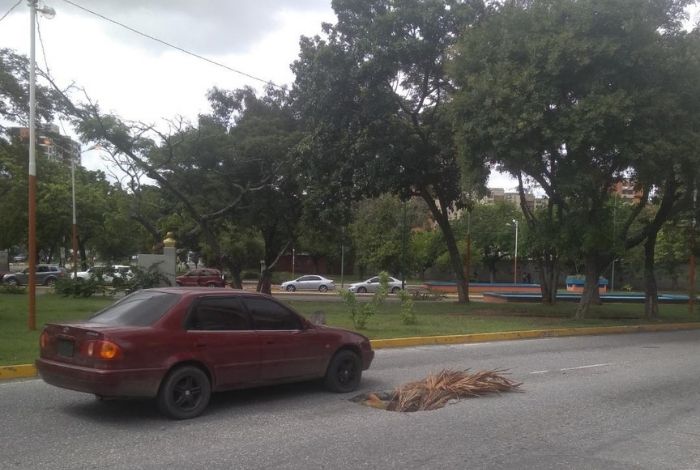 ▷ Enorme hueco en la avenida Los Leones pone en riesgo a los conductores  #9Nov - El Impulso