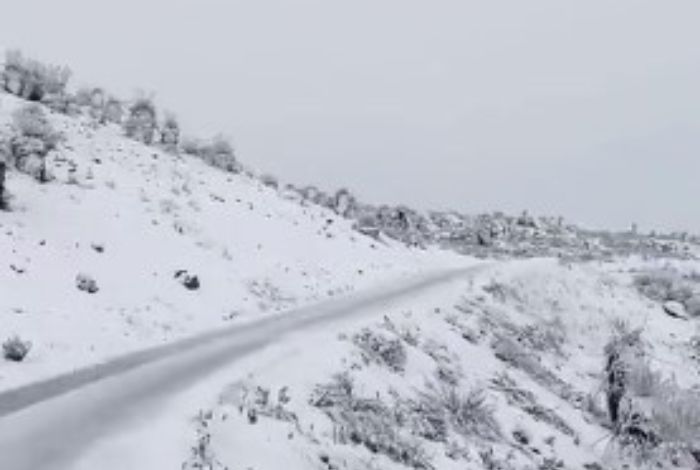 ▷ #VIDEO Impresionante nevada cubrió de blanco el Pico 