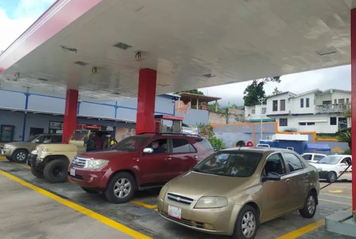 ▷ Azalea Colmenárez: El litro de gasolina de mayor octanaje podría costar  un dólar #25Ene - El Impulso