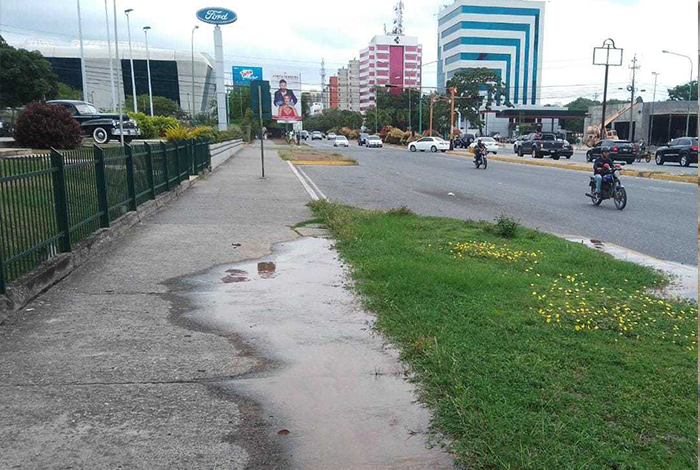 ▷ El agua potable se desperdicia en bote de la avenida Los Leones #18Abr -  El Impulso