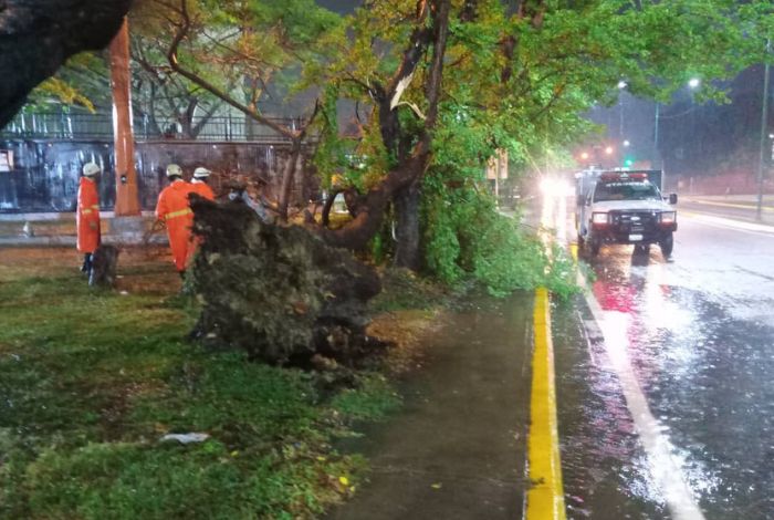 Pereira ofreció balance de afectaciones tras lluvias de este viernes en Barquisimeto #28Oct