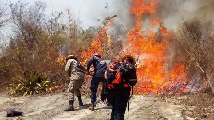 Incendios en Venezuela