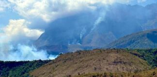 Incendio forestal en Auyantepui, PN Canaima. Foto: François Montalant