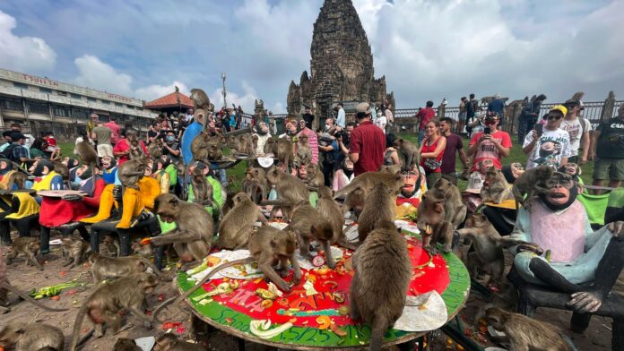 Monos deambulan en una ciudad del centro de Tailandia