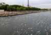 Nadadores en el Río Sena en París