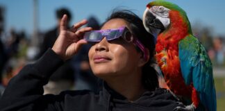 Personas disfrutando el eclipse solar total