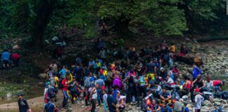 Migrantes en la Selva del Darién 2024