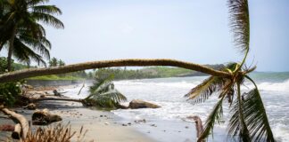 Devastación que dejó a su paso el huracán Beryl