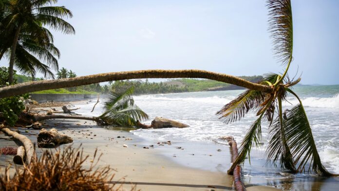 Devastación que dejó a su paso el huracán Beryl