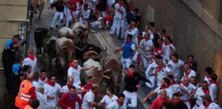 Encierro de toros en San Fermín, España