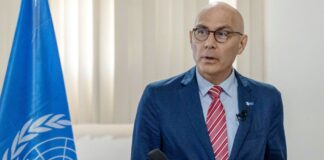 Volker Türk, Alto Comisionado de la ONU