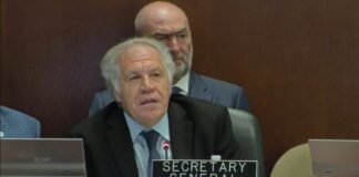 Luis Almagro ante la OEA