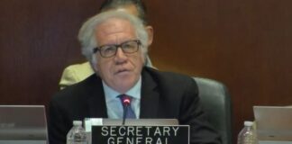 Luis Almagro en la OEA