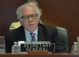 Luis Almagro en la OEA