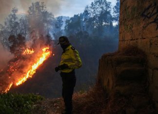 Incendios forestales n Ecuador