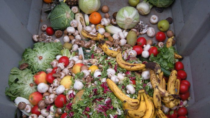 Perdida de alimentos