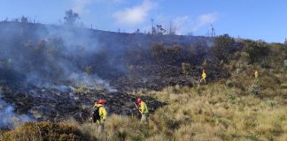 Incendios en Ecuador