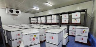 Venezuela reforzada contra fiebre amarilla