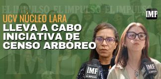 Proyecto de censo arbóreo en la UCV