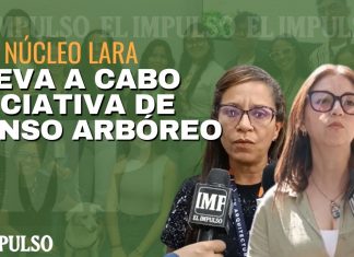 Proyecto de censo arbóreo en la UCV