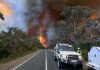 Sur de Australia preocupado ante incendios forestales