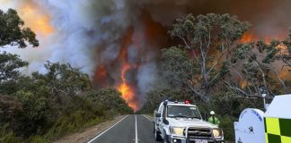 Sur de Australia preocupado ante incendios forestales