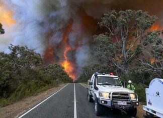 Sur de Australia preocupado ante incendios forestales