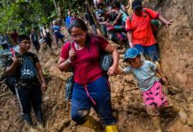 Flujo de inmigrantes por la selva del Darién ha disminuido un 41%