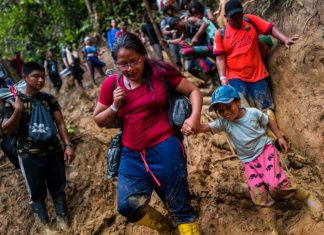 Flujo de inmigrantes por la selva del Darién ha disminuido un 41%