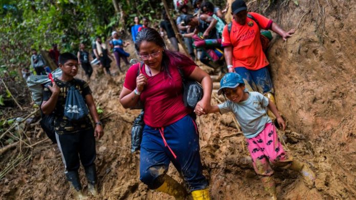 Flujo de inmigrantes por la selva del Darién ha disminuido un 41%