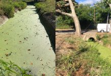 Habitantes de la zona afirman que la situación se repite durante varios años