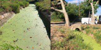 Habitantes de la zona afirman que la situación se repite durante varios años