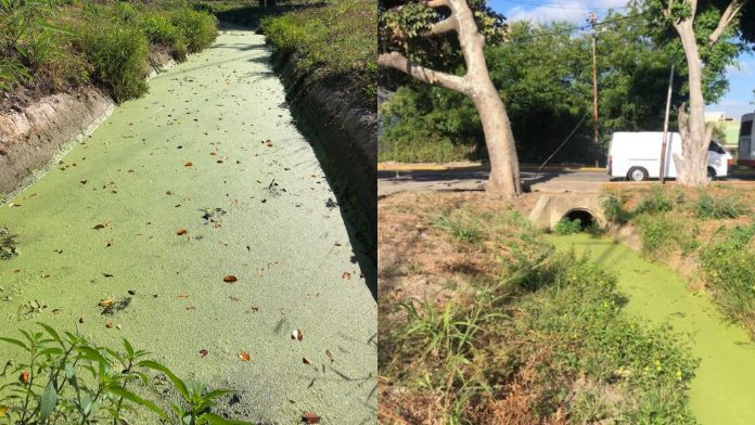 Habitantes de la zona afirman que la situación se repite durante varios años