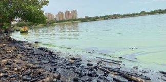 Limpieza de Lago de Maracaibo como parte de Plan Maestro de Rescate