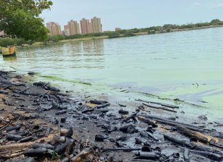 Limpieza de Lago de Maracaibo como parte de Plan Maestro de Rescate