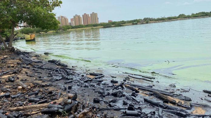 Limpieza de Lago de Maracaibo como parte de Plan Maestro de Rescate