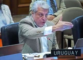 Canciller de Uruguay critica a la OEA por inacción