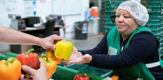 Informe de la OIT: El futuro del mercado laboral mundial está bajo presión