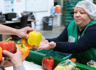 Informe de la OIT: El futuro del mercado laboral mundial está bajo presión