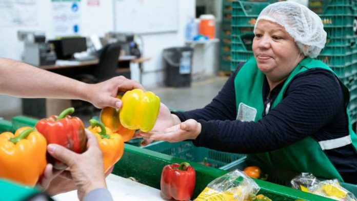 Informe de la OIT: El futuro del mercado laboral mundial está bajo presión