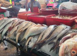 Consumo de pescado entre los índices más bajos de Latinoamérica