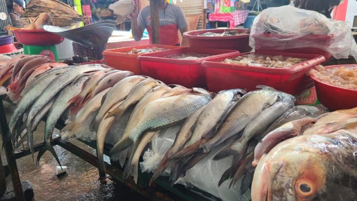 Consumo de pescado entre los índices más bajos de Latinoamérica