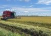 Inversión en agricultura