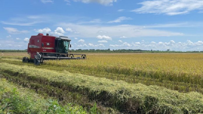 Inversión en agricultura