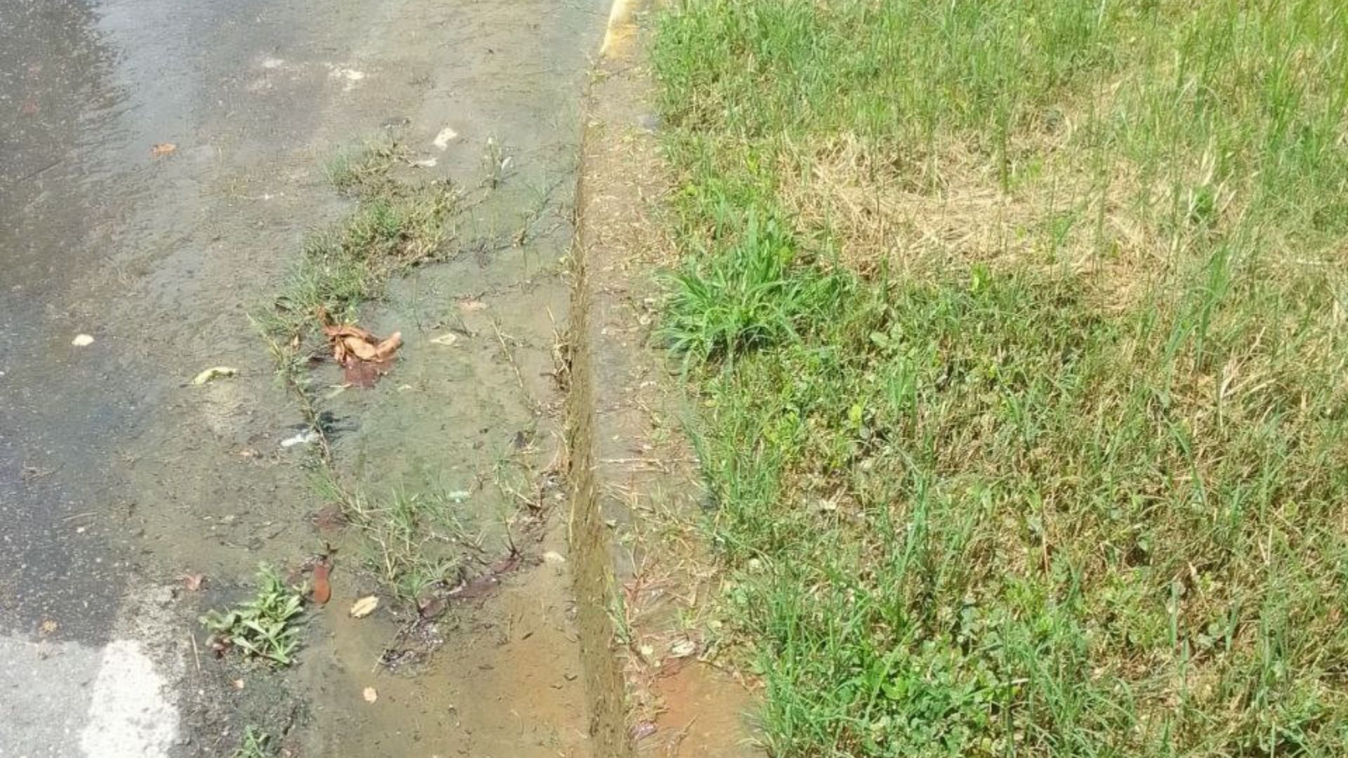 FOTOS | ¡Alerta vecinal! Desborde de aguas blancas en la avenida Los Leones afecta a residentes #29Jul